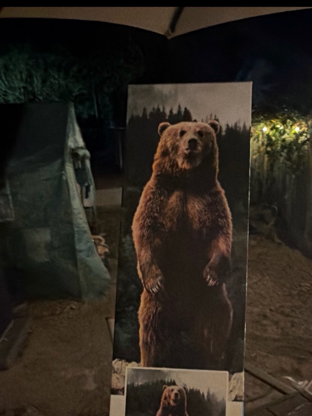 Brown Bear Wall Art Poster - Diamond Art - 16X20